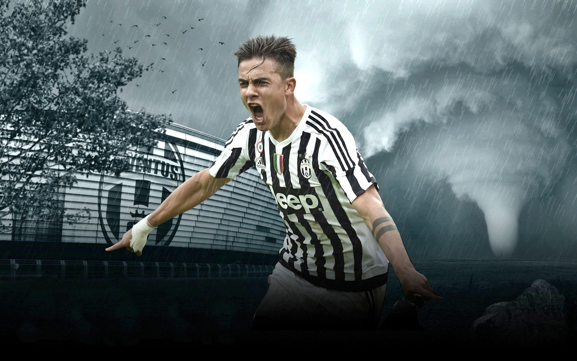 AL优先确 AL优先确